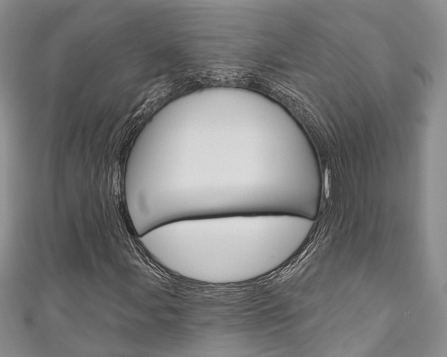 X0000111201107200907011024