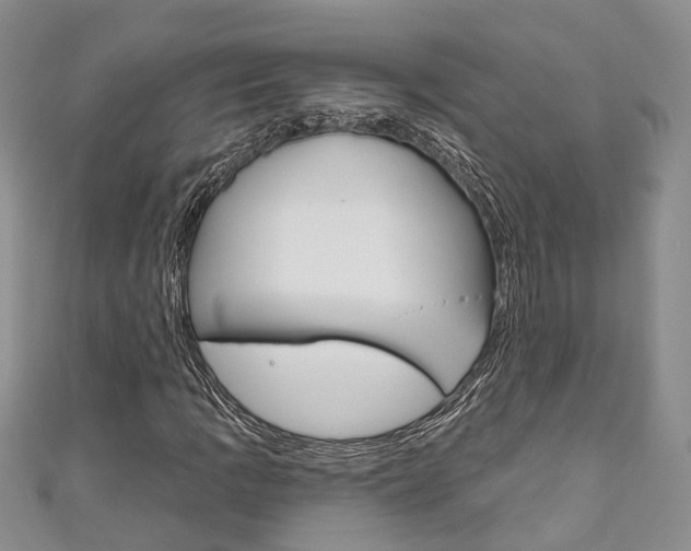 X0000111201109200907011024