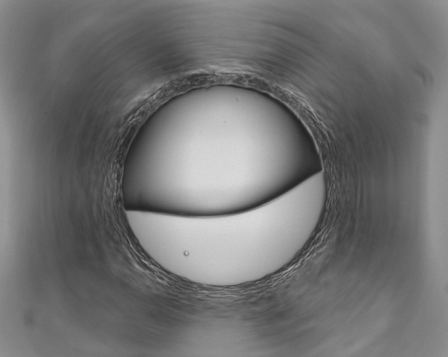 X0000111201110200907011024