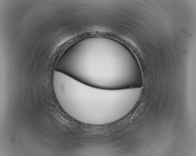 X0000111201112200907011024