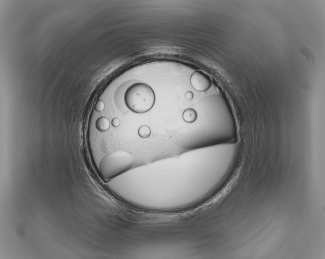 X0000111201113200907011024