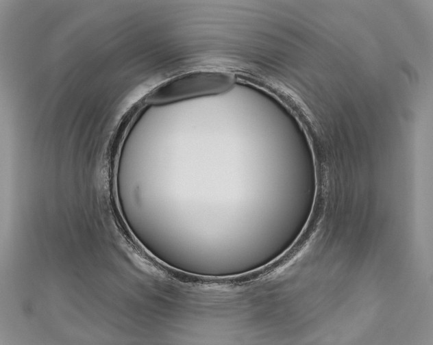 X0000111201114200907011024