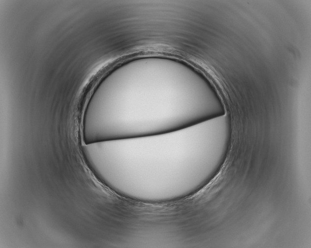 X0000111201115200907011024