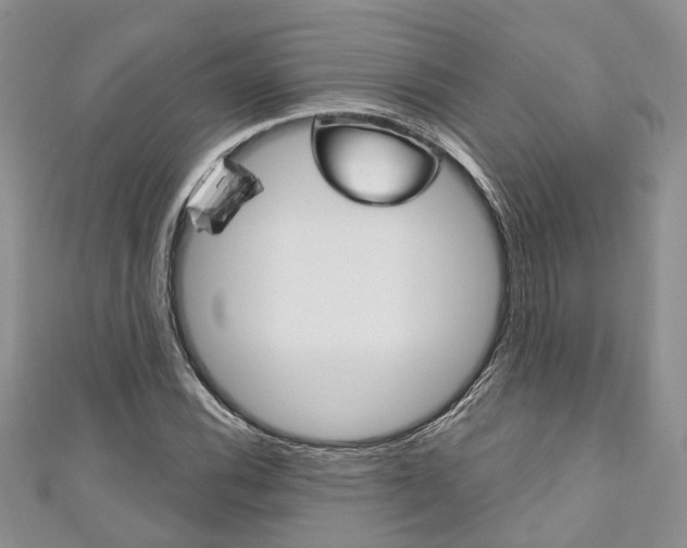 X0000111201116200907011024