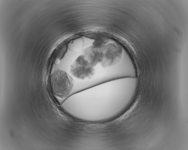 X0000111201117200907011024