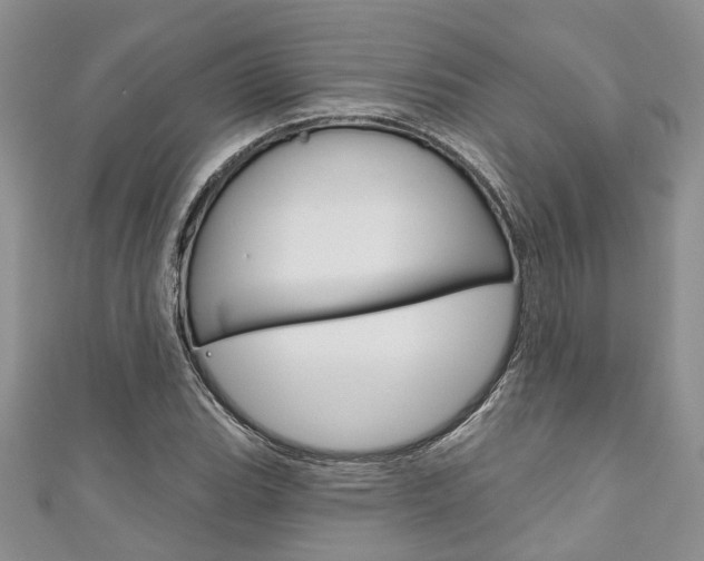 X0000111201119200907011024