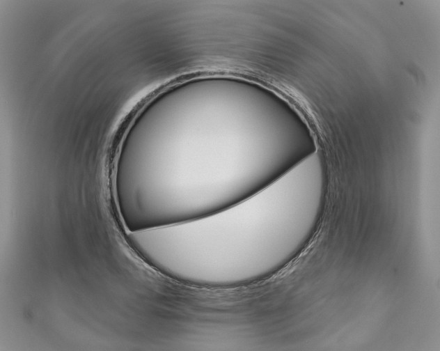 X0000111201120200907011024