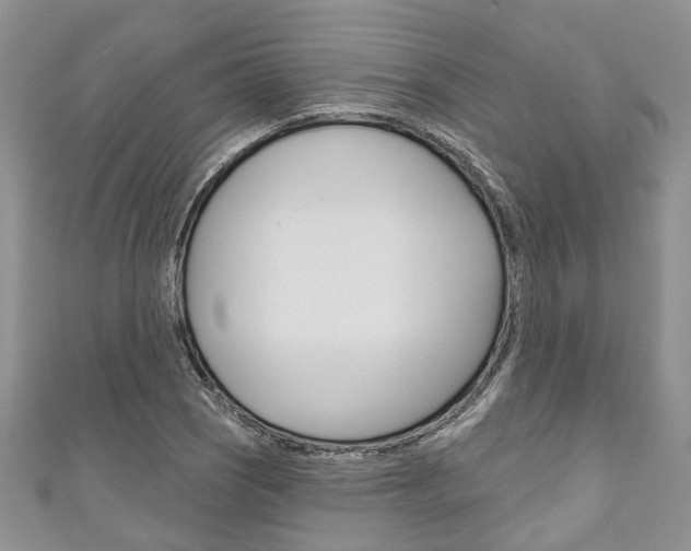 X0000111201121200907011024