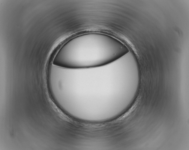 X0000111201122200907011024