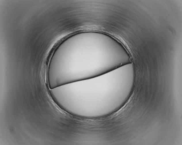 X0000111201123200907011024
