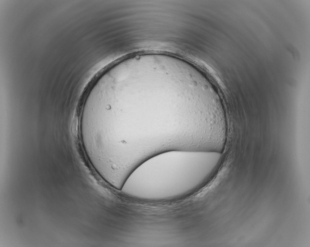 X0000111201125200907011024