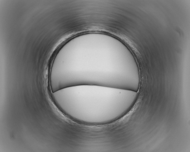 X0000111201126200907011024