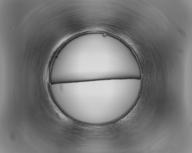 X0000111201127200907011024