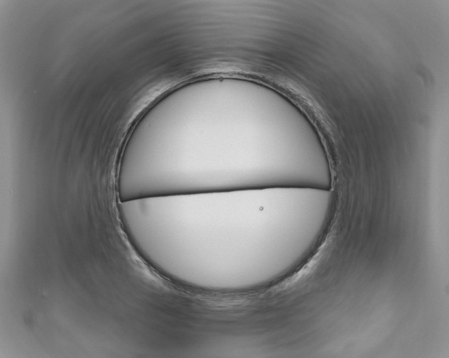 X0000111201129200907011024