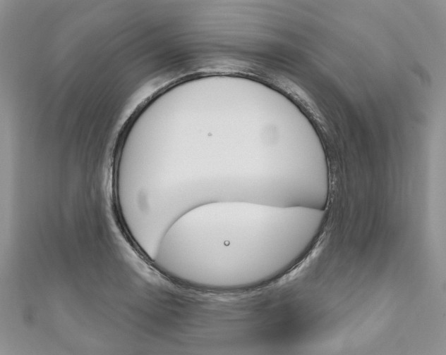 X0000111201130200907011024