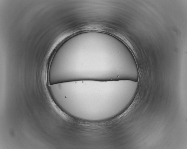 X0000111201131200907011024