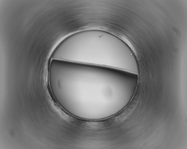X0000111201132200907011024