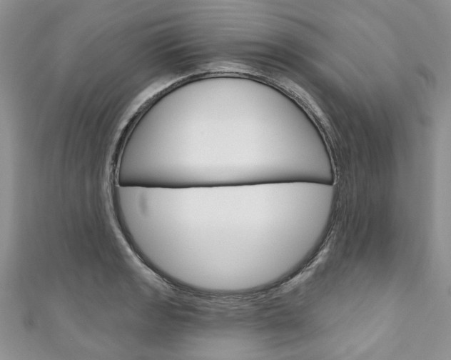 X0000111201133200907011024