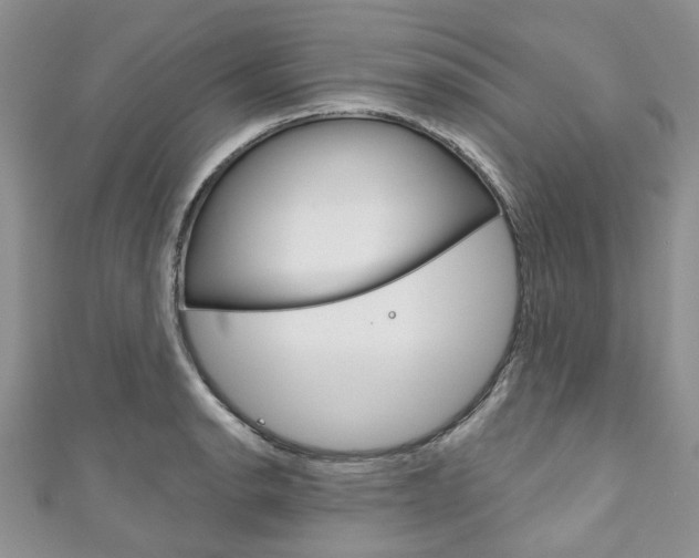 X0000111201134200907011024