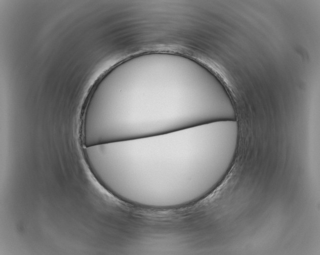 X0000111201135200907011024