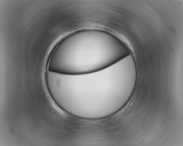 X0000111201136200907011024