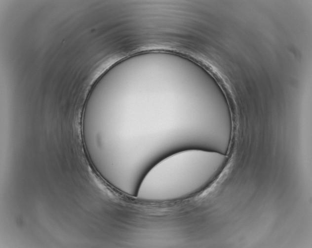 X0000111201137200907011024