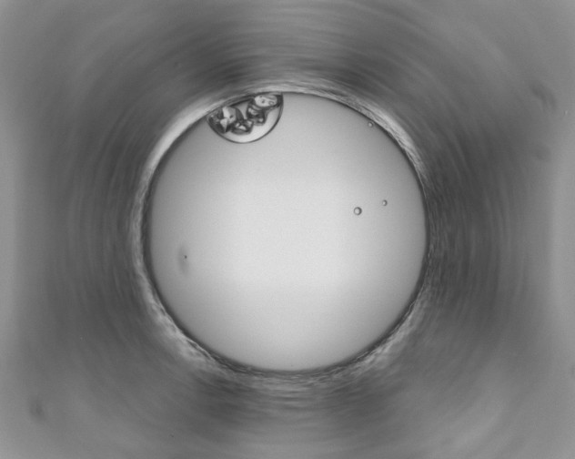 X0000111201138200907011024