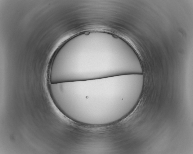 X0000111201139200907011024