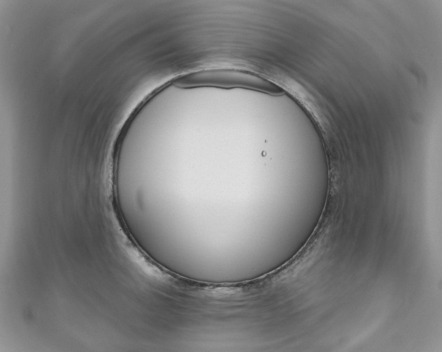 X0000111201140200907011024