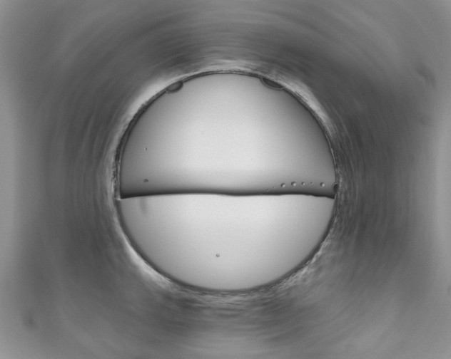 X0000111201143200907011024