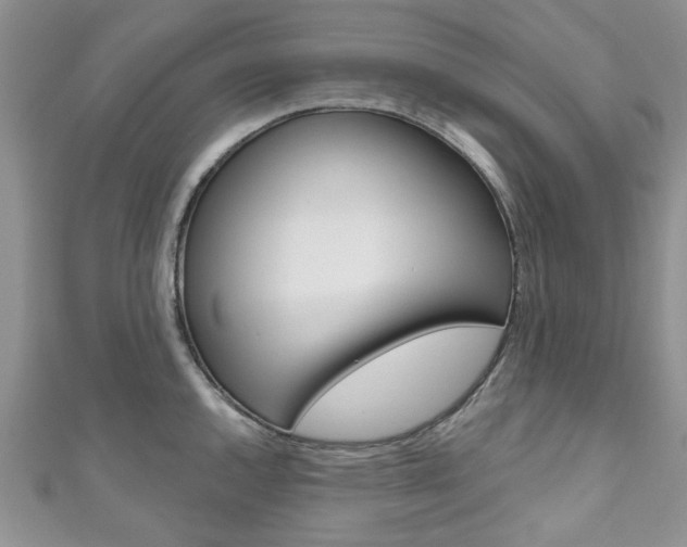 X0000111201144200907011024