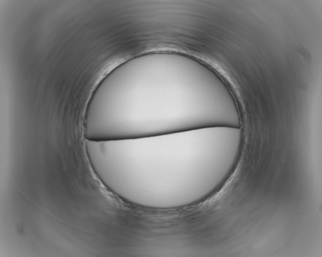 X0000111201145200907011024