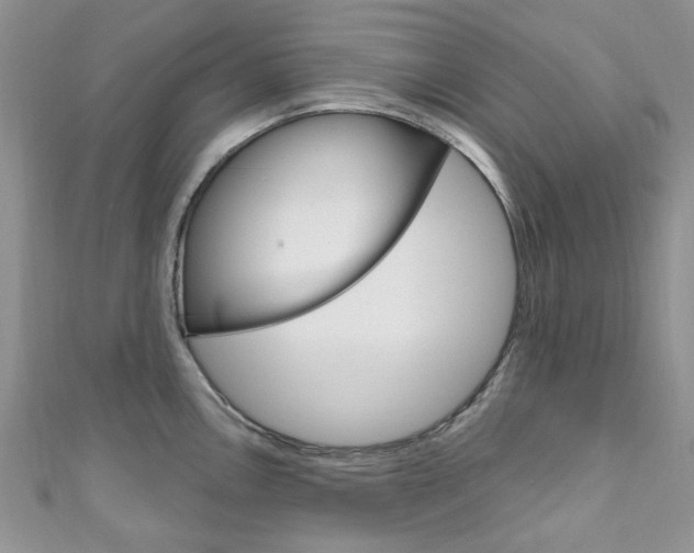 X0000111201146200907011024