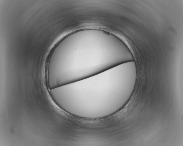 X0000111201147200907011024