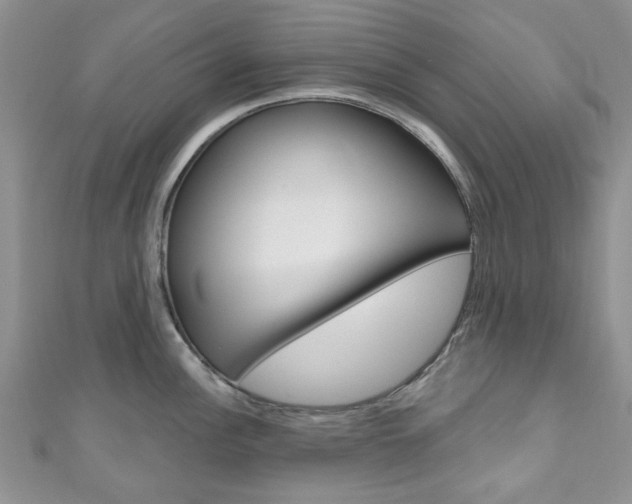 X0000111201148200907011024