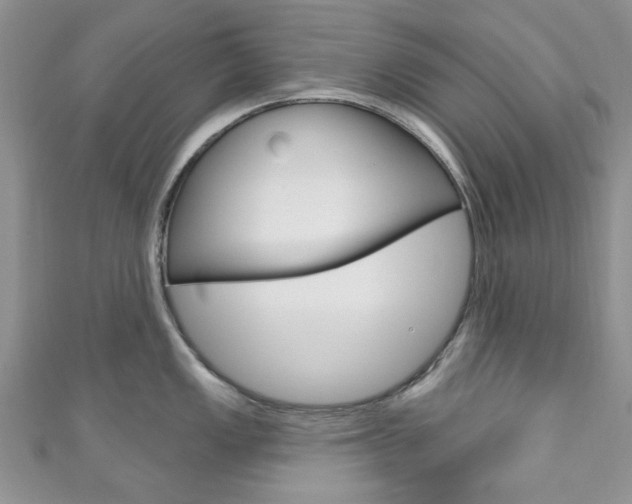 X0000111201149200907011024