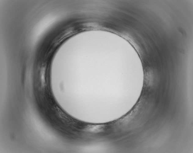 X0000111201150200907011024