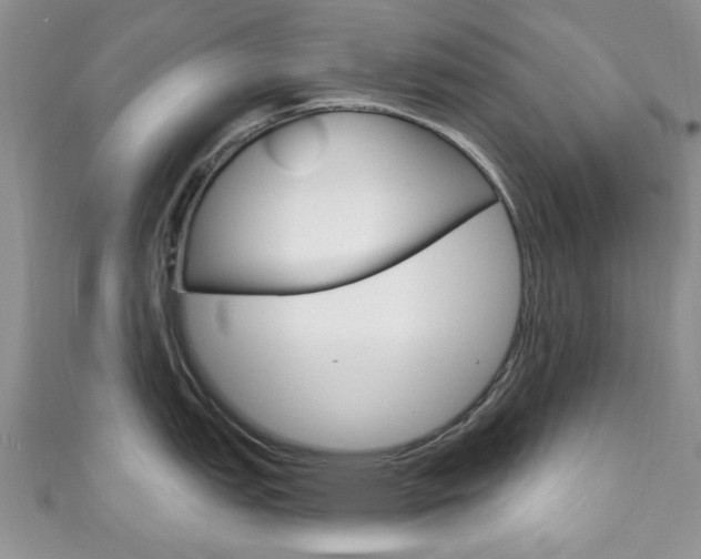 X0000111201151200907011024