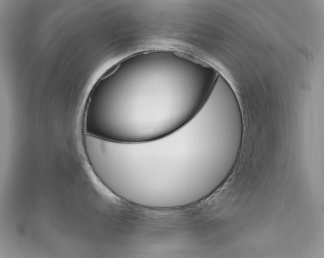 X0000111201152200907011024