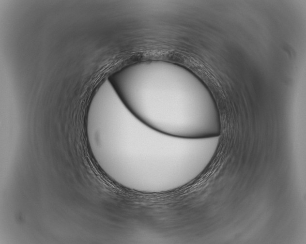 X0000111201153200907011024