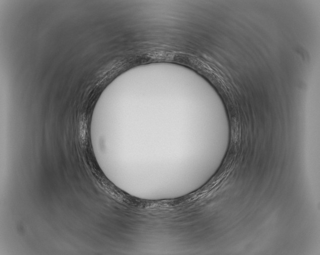 X0000111201154200907011024