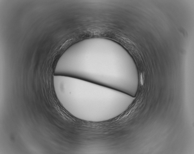 X0000111201155200907011024