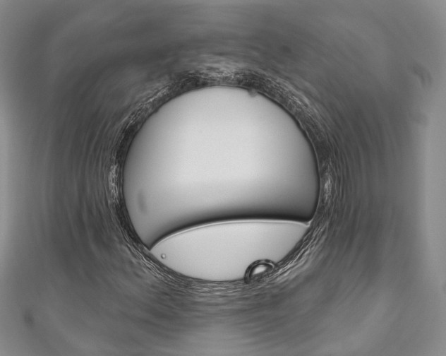 X0000111201156200907011024