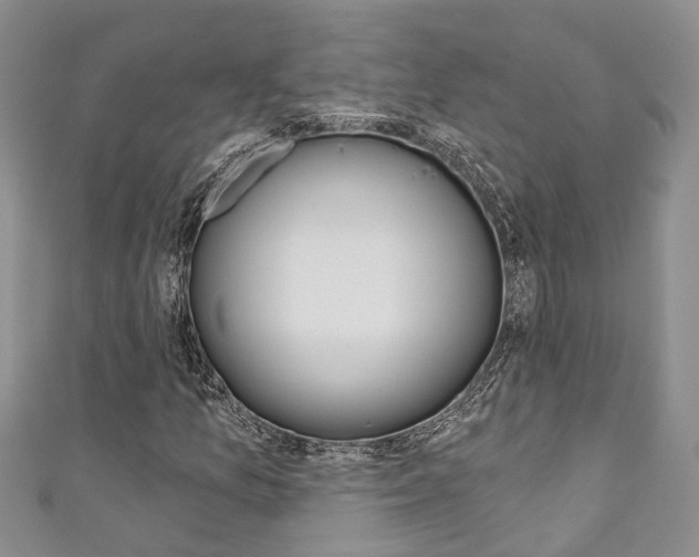 X0000111201157200907011024