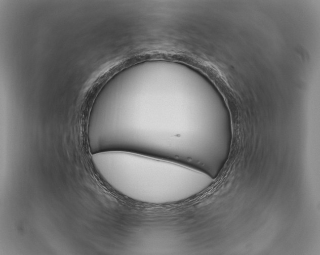 X0000111201159200907011024
