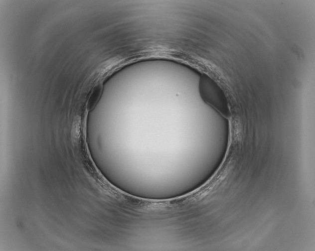 X0000111201161200907011024