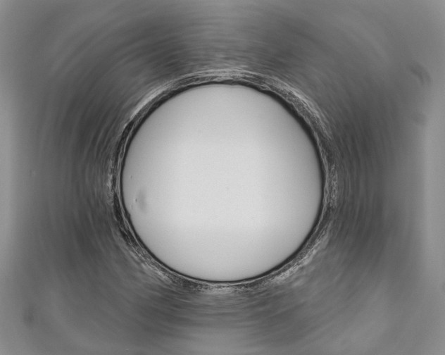X0000111201162200907011024
