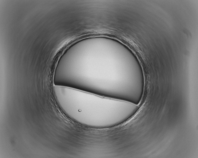 X0000111201163200907011024