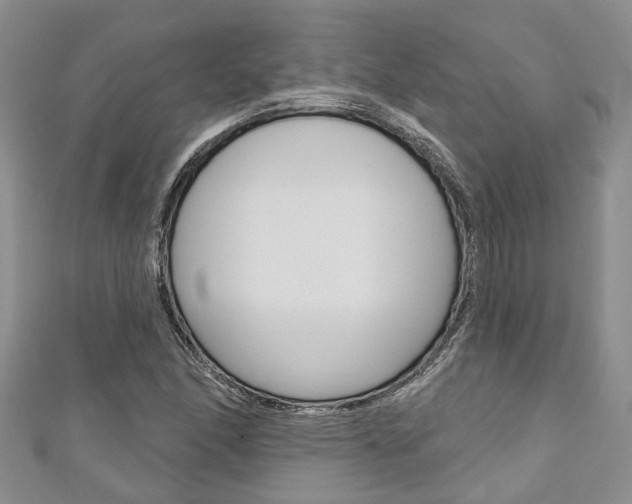 X0000111201166200907011024