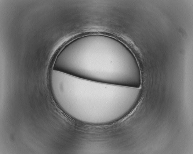 X0000111201167200907011024